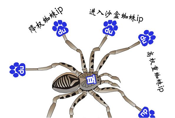 如何識別正確的百度蜘蛛？