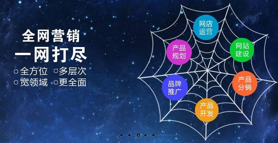 企業全網營銷的策略建議